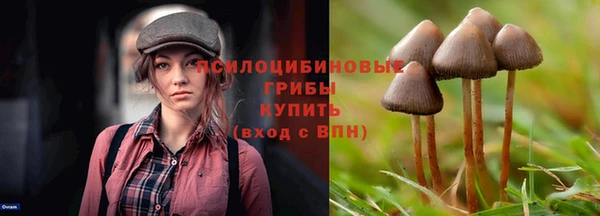не бодяженный Армянск