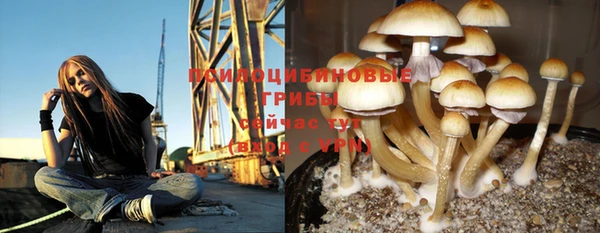 соль курить ск Алексин