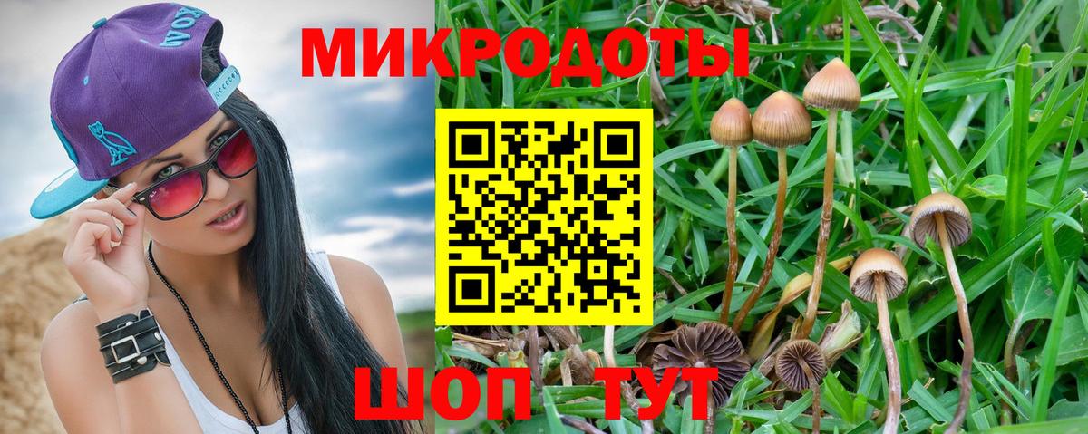 Галлюциногенные грибы Psilocybine cubensis Глазов