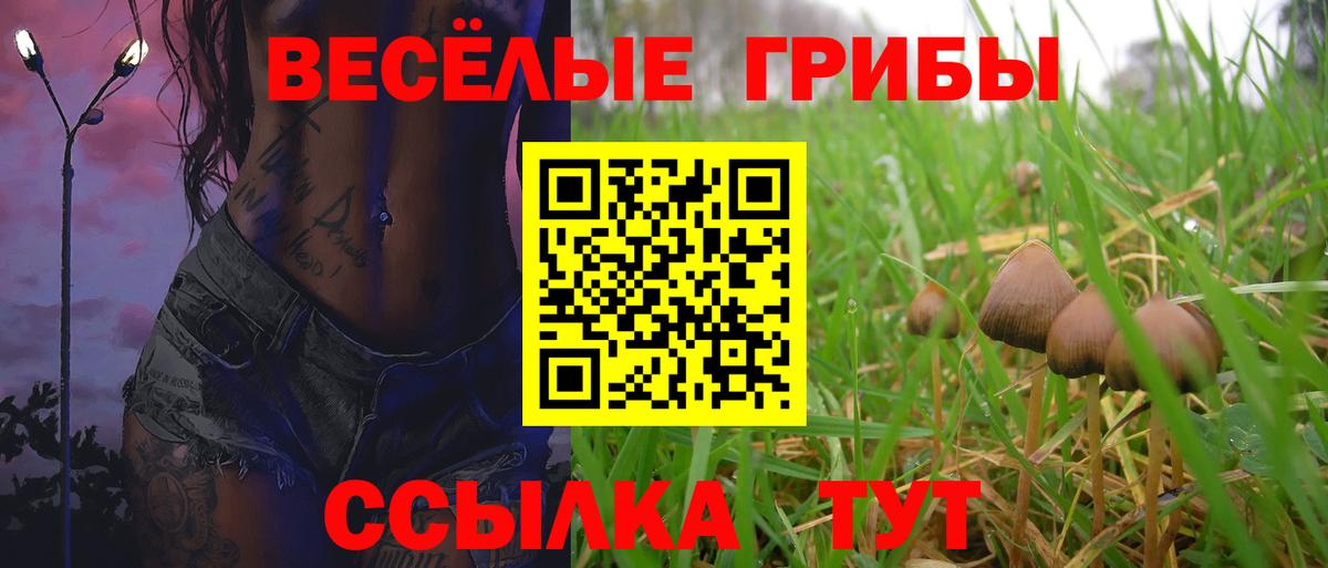 Галлюциногенные грибы MAGIC MUSHROOMS  Вход с VPN  Глазов 